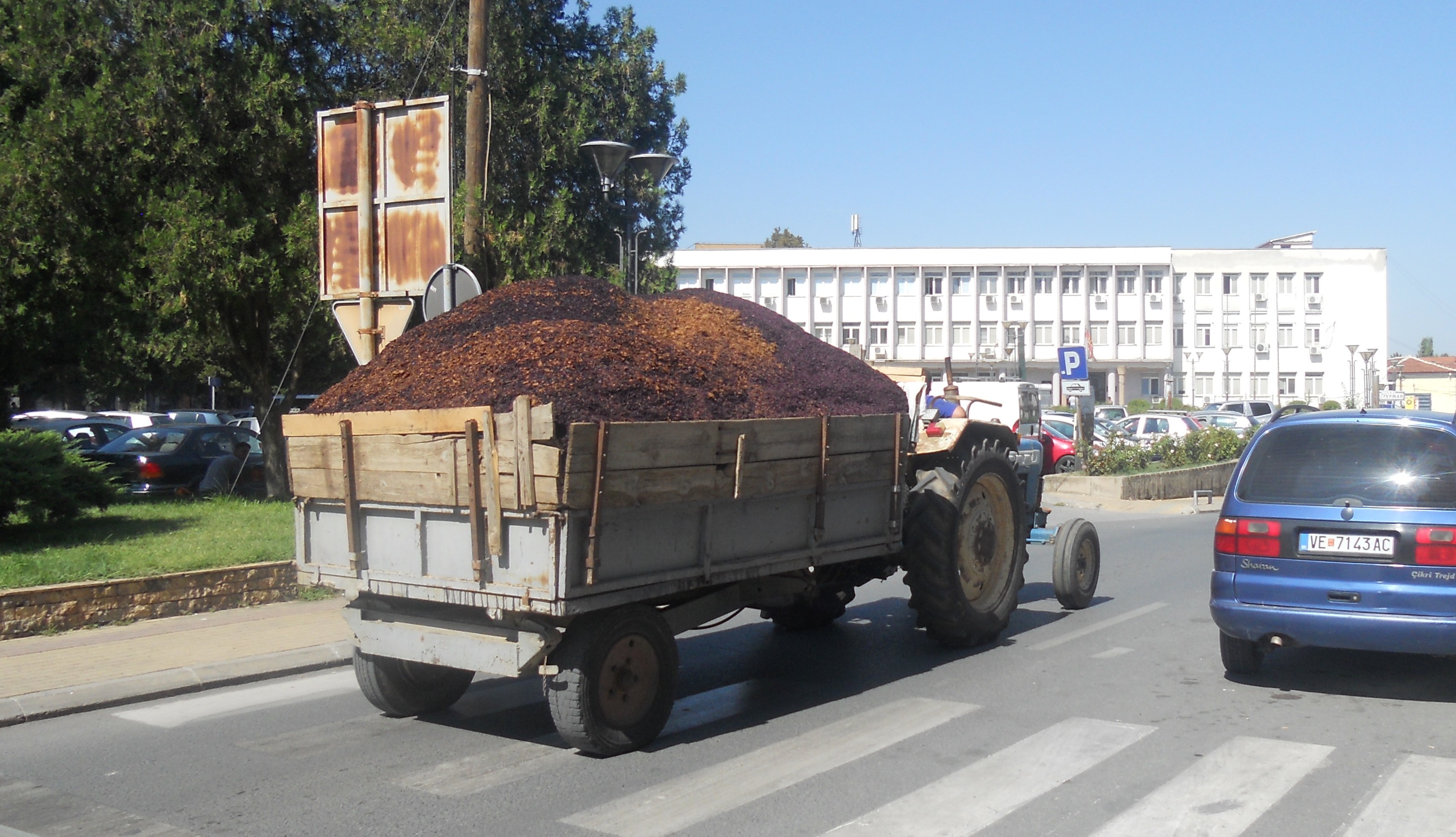 ОТПАДОТ ОД ВИНСКАТА ИНДУСТРИЈА СЕ ФРЛА НА ДЕПОНИИ МЕСТО ДА СЕ ИСКОРИСТИ