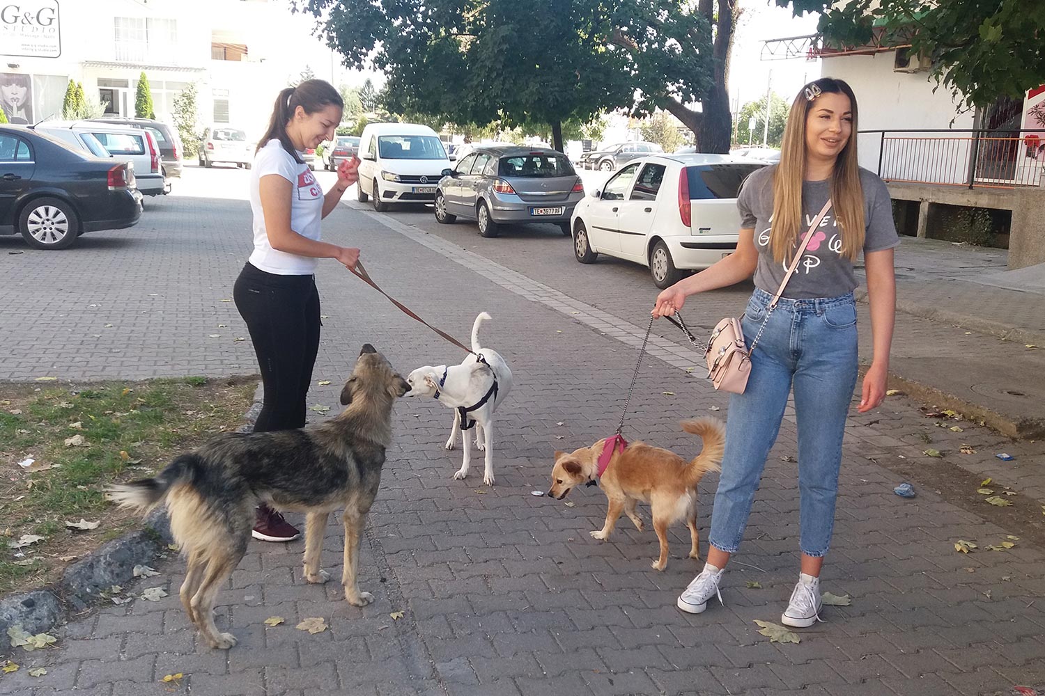 СЕСТРИТЕ ИВАНА И ДРАГАНА СЕКОЈДНЕВНО СЕ ГРИЖАТ ЗА КУЧИЊАТА СКИТНИЦИ ВО ТЕТОВО