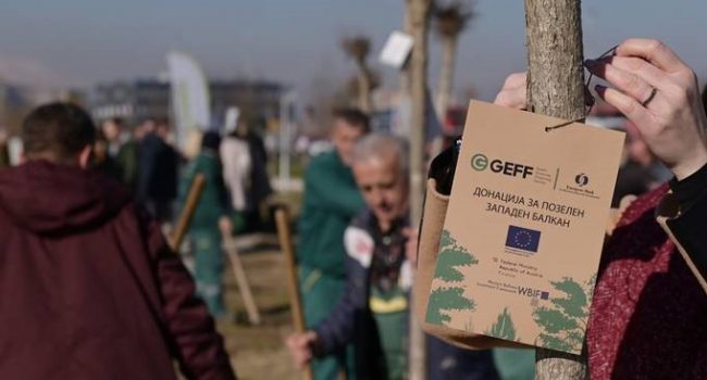 ЕБОР, ЕУ И ПОВЕЌЕ БАНКИ ДОНИРАА 50 ДРВЈА КАТАЛПА ВО АЕРОДРОМ ЗА ПОЗДРАВА ЖИВОТНА СРЕДИНА