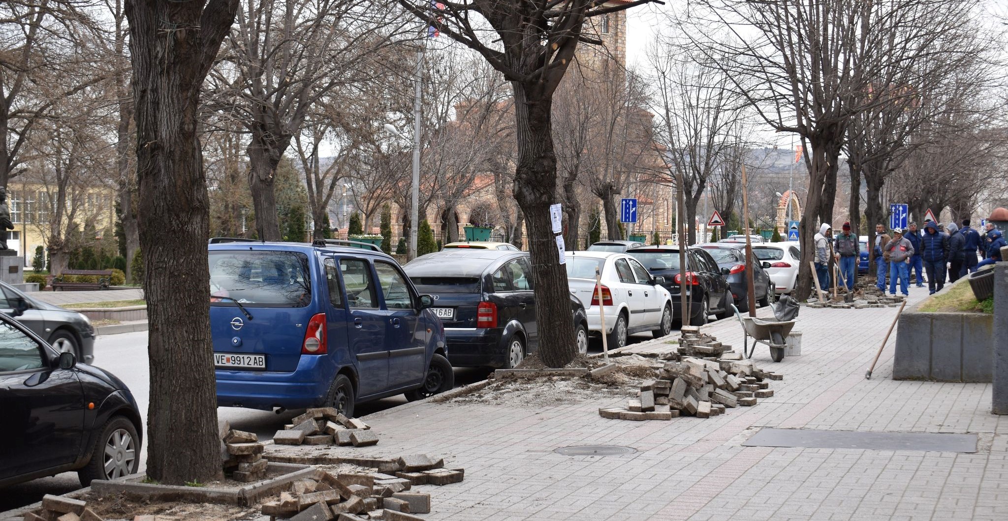 СЕ ОСЛОБОДУВААТ ЗАРОБЕНИТЕ ДРВЈА ВО ВЕЛЕС