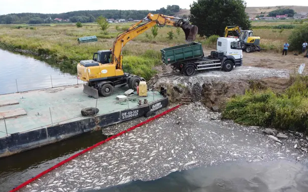 ОД РЕКАТА ОДРА ВО ПОЛСКА ИЗВАДЕНИ 100 ТОНИ МРТВА РИБА, НЕ СЕ ЗНАЕ ПРИЧИНАТА ЗА ПОМОРОТ