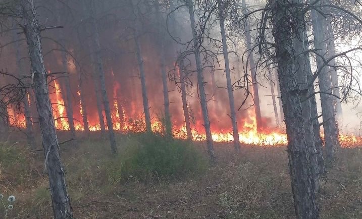 ПОД КОНТРОЛА СЕ ПОЖАРИТЕ ВО НЕГОТИНО И ДЕМИР КАПИЈА, ВЕЛИ АНГЕЛОВ