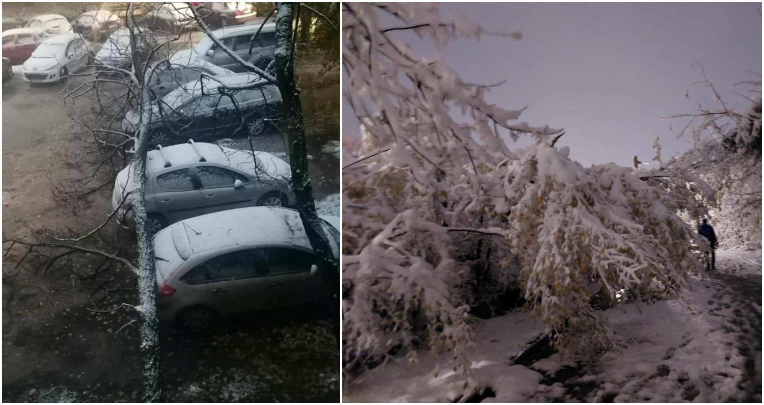 СНЕГOT КУТНА ДРВЈА ВО БИТОЛА, ЕДНО ОШТЕТИ ВОЗИЛА