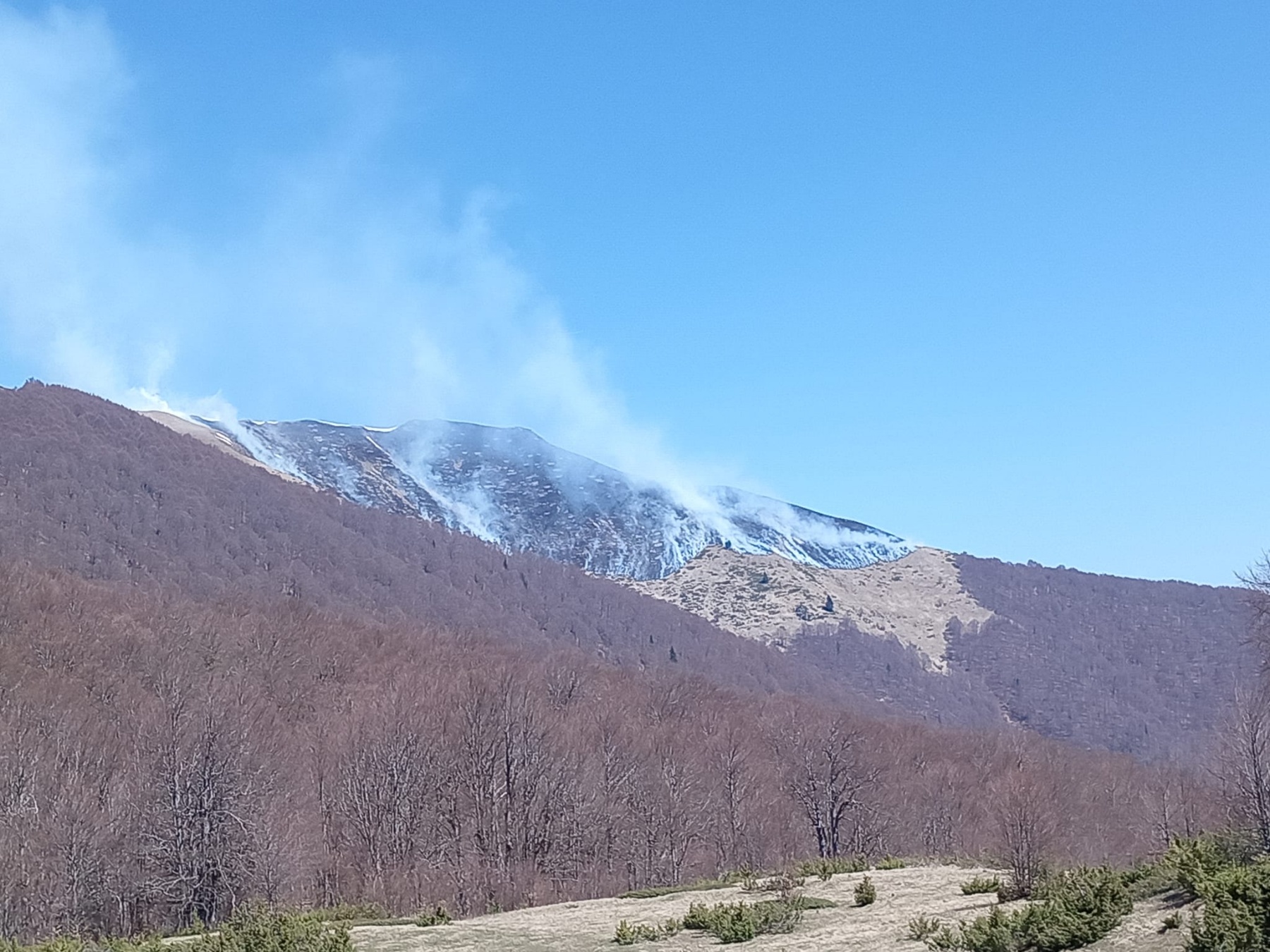 ПОЖАРИТЕ НА ШАР ПЛАНИНА И ВО МАВРОВО СТАВЕНИ ПОД КОНТРОЛА