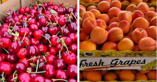 ПРОИЗВОДСТВОТО НА ОВОШЈЕ ДРАСТИЧНО НАМАЛЕНО, РОДОТ НА ЦРЕШИТЕ И ЈАБОЛКАТА ПРЕПОЛОВЕН