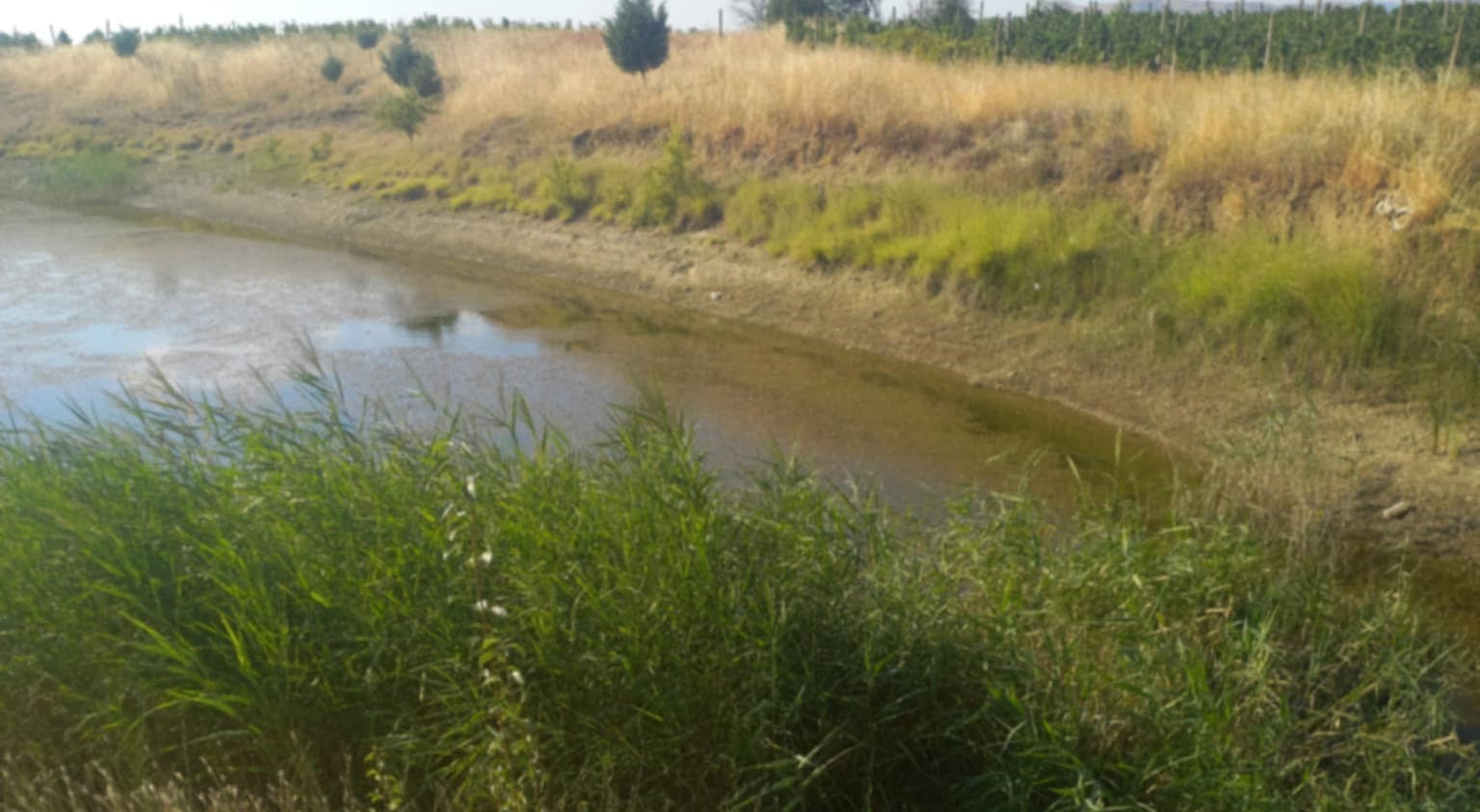 НАД 2.000 ЖИТЕЛИ НА ТРИ ЧЕШМИ ОСТАНАА БЕЗ ТЕХНИЧКА ВОДА ОТИ ВОДАТА ОД МИНИ БРАНАТА БИЛА ИСПУШТЕНА ДА СЕ НАВОДНУВААТ ЛОЗОВИ НАСАДИ