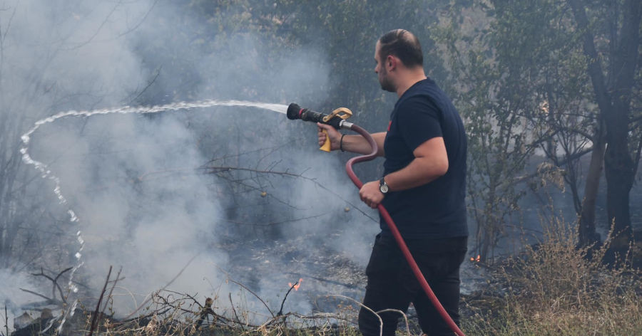 ТРИ ДЕЦА ФРЛАЛЕ ПЕТАРДИ И ГО ПРЕДИЗВИКАЛЕ ПОЖАРОТ ВО РАСАДНИК ВО КИСЕЛА ВОДА