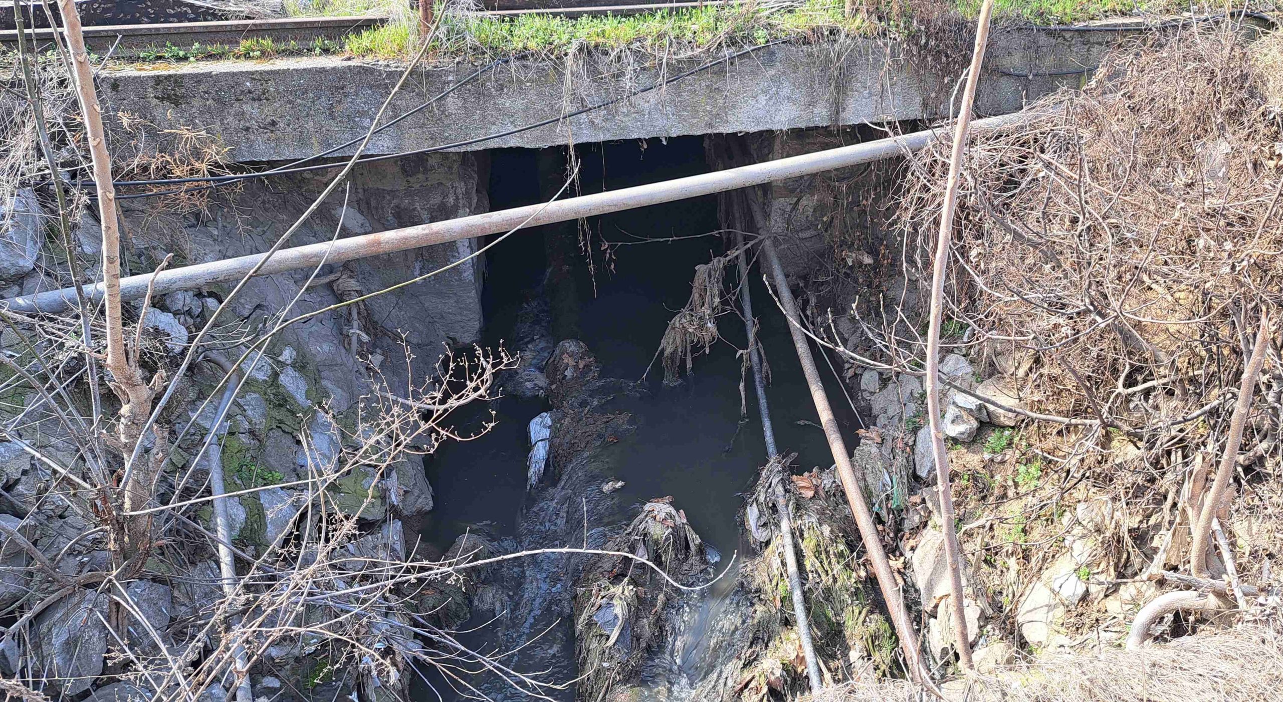 СТАНАРИТЕ ВО БЛИЗИНА НА КАНАЛОТ СО ОТПАДНИ ВОДИ ВО ВЕЛЕС СЕ ЖАЛАТ НА СМРДЕАТА, ГРАДОНАЧАЛНИКОТ КОЛЕВ ВЕЛИ НЕ МОЖЕ ДА СЕ ПОКРИЕ ОД БЕЗБЕДНОСНИ ПРИЧИНИ