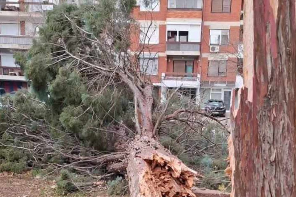 ВО ШТИП ДУВАШЕ ВЕТЕР СО БРЗИНА ОД 100 КИЛОМЕТРИ НА ЧАС, ОШТЕТЕНИ КОЛИ И ПОКРИВИ