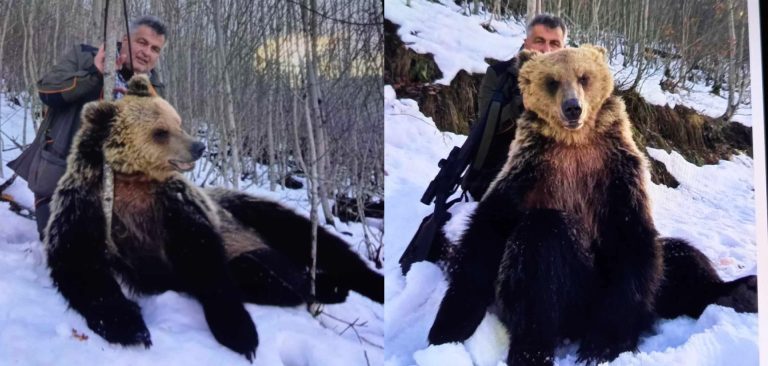 АКО СЕ ДОКАЖЕ ДЕКА ЗАМЕНИК-ДИРЕКТОРОТ НА „МАКЕДОНИЈА ПАТ“ ЈА УБИЛ МЕЧКАТА ЌЕ ГО РАЗРЕШАМ, РЕЧЕ МИЦКОСКИ