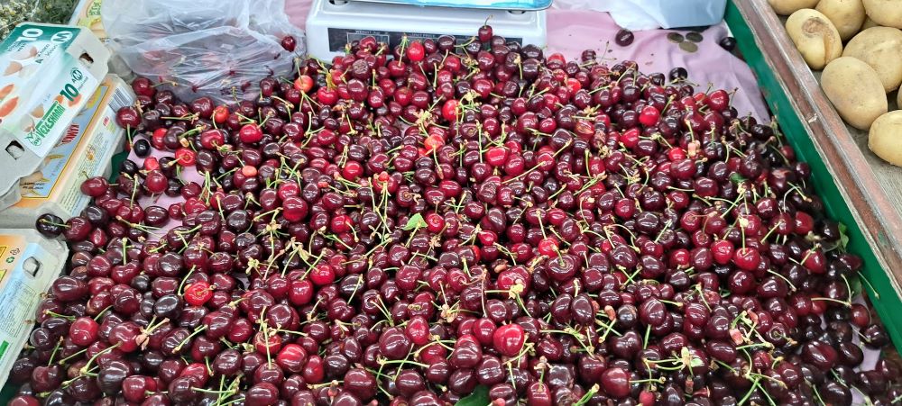 НА ВЕЛЕШКИОТ ПАЗАР КИЛО ДОМАШНИ ЦРЕШИ Е 250 ДЕНАРИ, ВО МАРКЕТИТЕ ДО 1.300 ДЕНАРИ КИЛО ЗА СТРАНСКИТЕ, ОТИ ГОДИНАВА РОДОТ ИЗМРЗНА ОД СНЕГОТ И МРАЗОТ