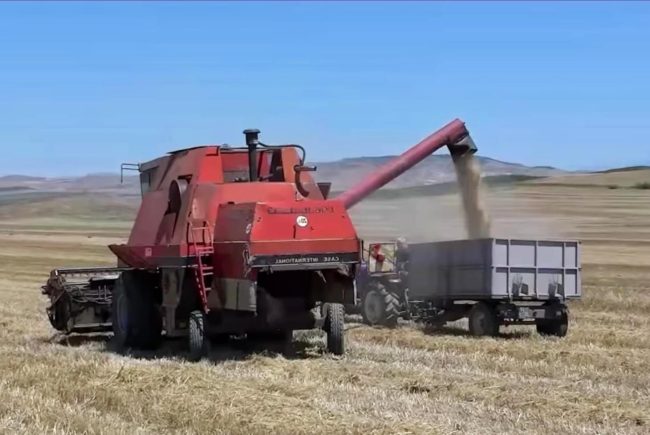 ЗАВРШУВА ЖЕТВАТА НА ЈАЧМЕНОТ И ПЧЕНИЦАТА, ЗЕМЈОДЕЛЦИТЕ СЕ НЕЗАДОВОЛНИ ОД ОТКУПНИТЕ ЦЕНИ, ИАКО ОД ВЛАДАТА ВЕЛАТ ДЕКА Е ПОВИСОКА ОД ЛАНИ