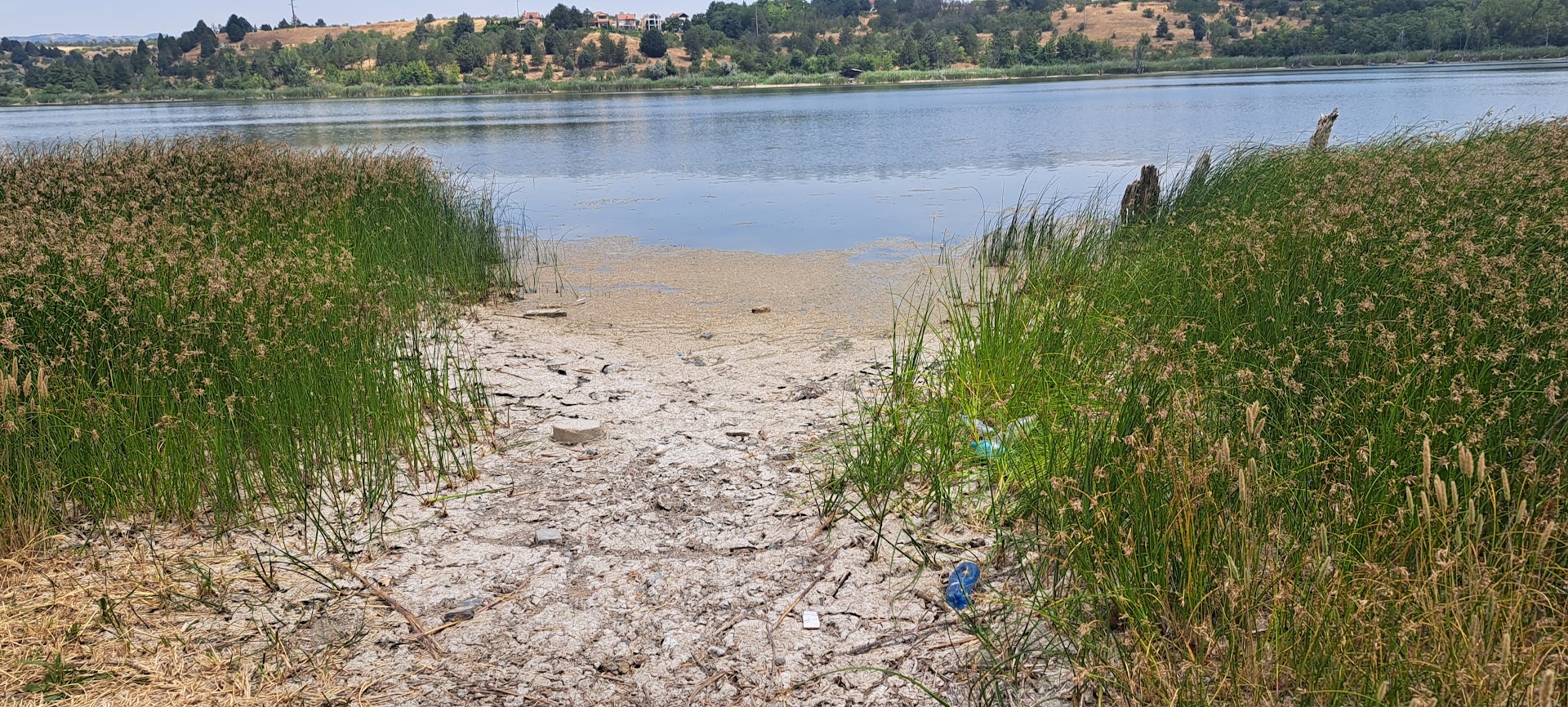 НИКАКО ДА СЕ ИЗВРШИ АНАЛИЗА НА ВОДАТА ВО ЕЗЕРОТО МЛАДОСТ ДАЛИ ИМА ЦИЈАНОТОКСИНИ, ИСПИТУВАЊАТА ВО БЕЛГРАД ЧИНАТ 110 ЕВРА