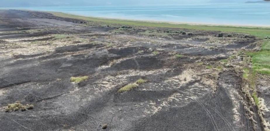 ВО ПОДМЕТНАТ ПОЖАР ИЗГОРЕ СКОРО ПОЛОВИНА ОД КОПНЕНАТА ПОВРШИНА НА ПАРКОТ НА ПРИРОДАТА ЕЗЕРАНИ ВО ПРЕСПА, ШТЕТАTA E МИЛИОНИ ЕВРА 