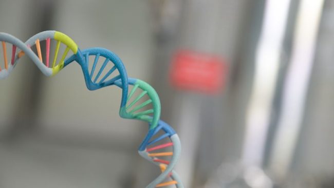 ПОСТИГНАТ НАПРЕДЕН МЕТОД ЗА ЛЕКУВАЊЕ ДИЈАБЕТЕС ЗАСНОВАН НА ВЕШТАЧКА ИНТЕЛИГЕНЦИЈА