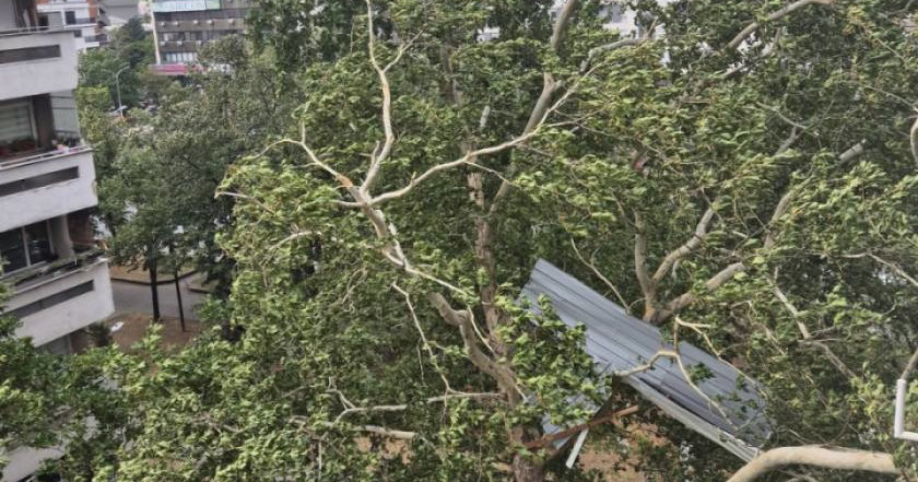 НЕВРЕМЕ ВО СКОПЈЕ, ПОЖАРИ, ПАДНАТИ ДРВЈА И ОТКОРНАТ ПОКРИВ НА ПОВЕЌЕ ЛОКАЦИИ ВО ГРАДОТ