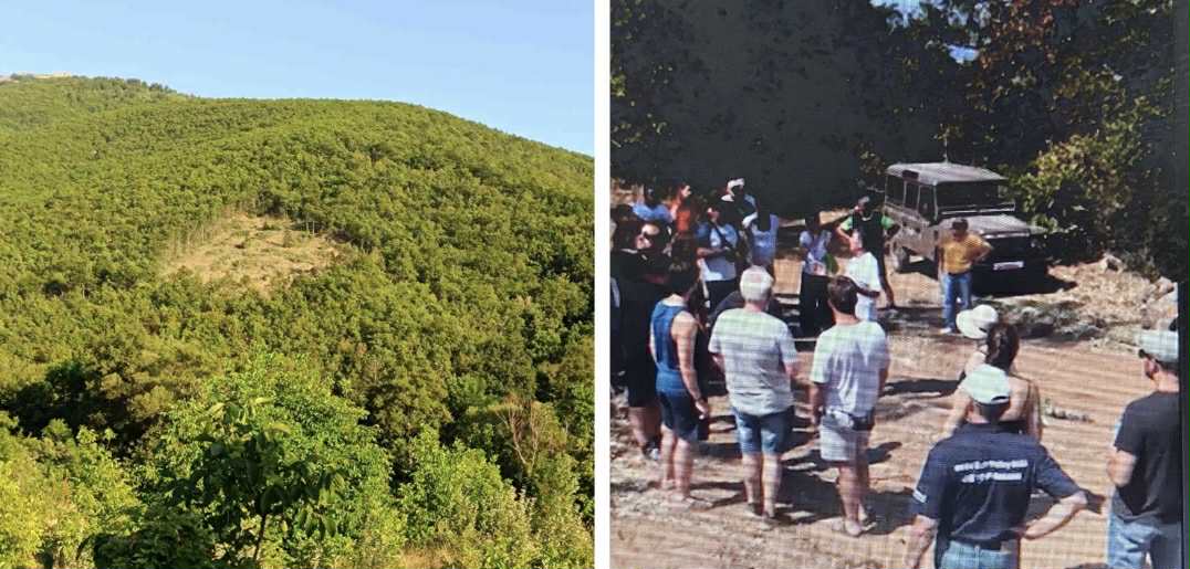 СЕЧАТА КАЈ ПРЕСПАНСКОТО СЕЛО ЉУБОЈНО Е РЕГУЛАРНА, ВЕЛИ ВЛАДАТА ПО ПРОТЕСТИТЕ НА ЖИТЕЛИТЕ КОИ БАРААТ ДА ЗАПРЕ СЕЧЕЊЕТО