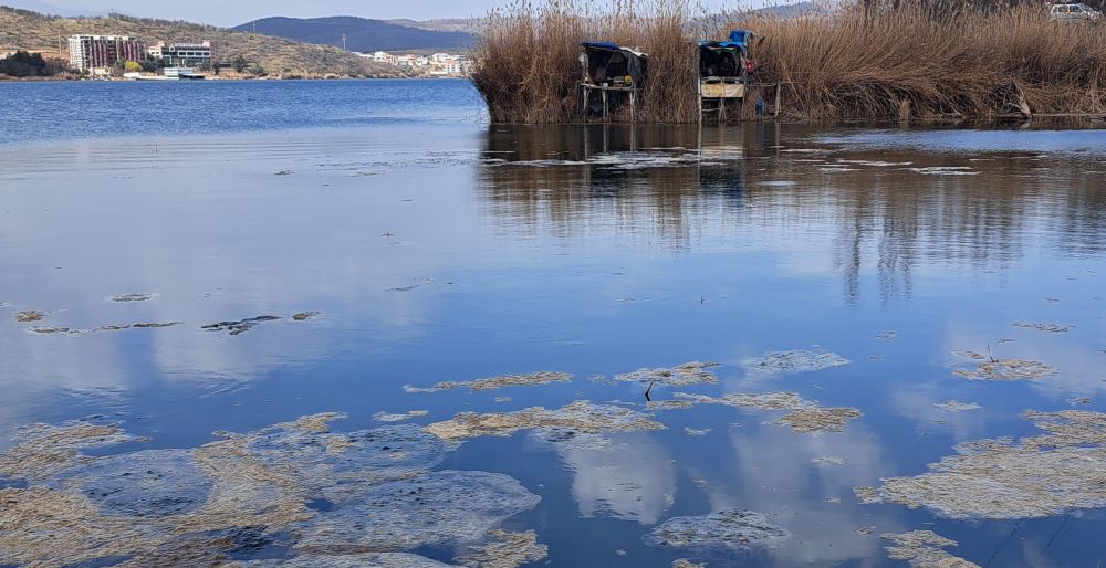 НИЕДНА ФИРМА НЕ СЕ ПРИЈАВИ НА ЈАВНИОТ ПОВИК ЗА ЧИСТЕЊЕ НА ПОВРШИНАТА НА ЕЗЕРОТО МЛАДОСТ ОД ОРГАНСКИТЕ НАСЛАГИ