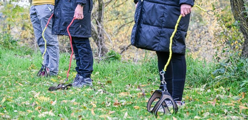 „ХОБИ ДОГИНГ“ – ШЕТАЊЕ КУЧЕ БЕЗ КУЧЕ – Е НОВ ТРЕНД ВО ГЕРМАНИЈА „ХОБИ ДОГИНГ“ – ШЕТАЊЕ КУЧЕ БЕЗ КУЧЕ – Е НОВ ТРЕНД ВО ГЕРМАНИЈА