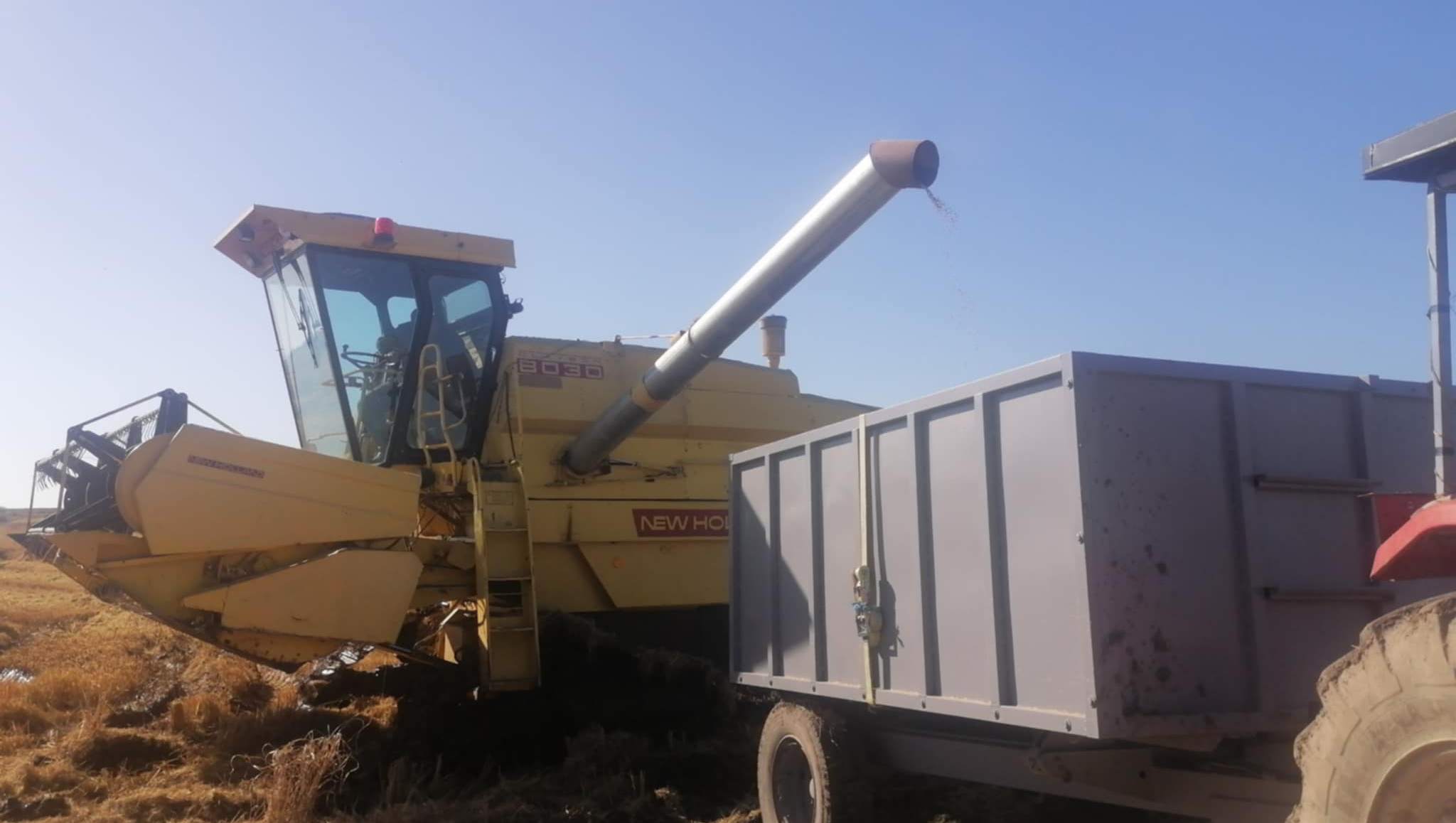 ПРОИЗВОДСТВОТО НА ОРИЗ ДОЖИВУВА КРАХ, А ВО МАРКЕТИТЕ И НАТАМУ ИМА МЕШАН ИЛИ СТРАНСКИ ОРИЗ СО КОЧАНСКА ДЕКЛАРАЦИЈА, ВЕЛАТ ОРИЗАРИТЕ ОД КОЧАНСКО ПРОИЗВОДСТВОТО НА ОРИЗ ДОЖИВУВА КРАХ, А ВО МАРКЕТИТЕ И НАТАМУ ИМА МЕШАН ИЛИ СТРАНСКИ ОРИЗ СО КОЧАНСКА ДЕКЛАРАЦИЈА, ВЕЛАТ ОРИЗАРИТЕ ОД КОЧАНСКО