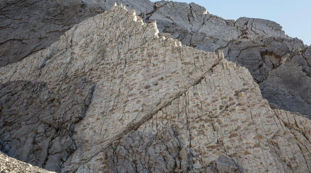 ИЛЈАДНИЦИ СТАПАЛКИ ОД ДИНОСАУРУСИ ПРОНАЈДЕНИ НА ПЛАНИНА ВО СЕВЕРНА ИТАЛИЈА ИЛЈАДНИЦИ СТАПАЛКИ ОД ДИНОСАУРУСИ ПРОНАЈДЕНИ НА ПЛАНИНА ВО СЕВЕРНА ИТАЛИЈА