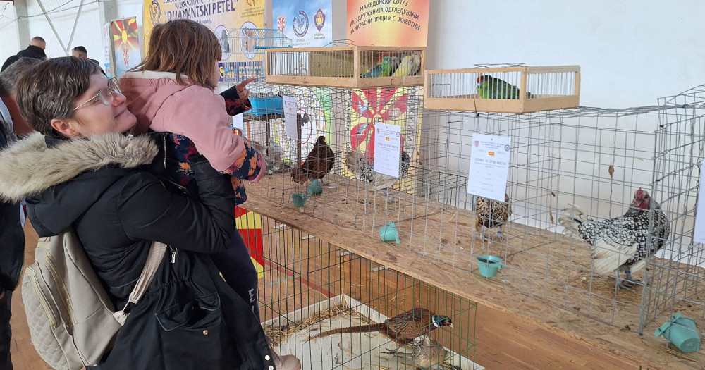 ОДГЛЕДУВАЊЕТО УКРАСНИ ПТИЦИ Е УБАВО ХОБИ, НО МОЖЕ ДА БИДЕ И ЗНАЧАЕН ИЗВОР НА ДОПОЛНИТЕЛНИ ПРИХОДИ ОДГЛЕДУВАЊЕТО УКРАСНИ ПТИЦИ Е УБАВО ХОБИ, НО МОЖЕ ДА БИДЕ И ЗНАЧАЕН ИЗВОР НА ДОПОЛНИТЕЛНИ ПРИХОДИ