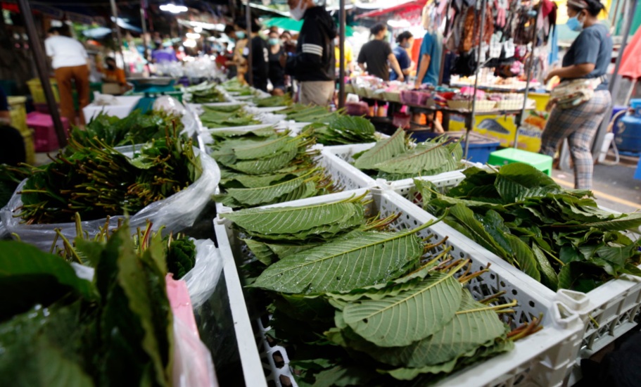 СЗО ГО МЕНУВА ПРИСТАПОТ КОН НАРОДНАТА МЕДИЦИНА ЗА ДА СЕ ИСТРАЖИ НЕЈЗИНИОТ ЗДРАВСТВЕН ПОТЕНЦИЈАЛ