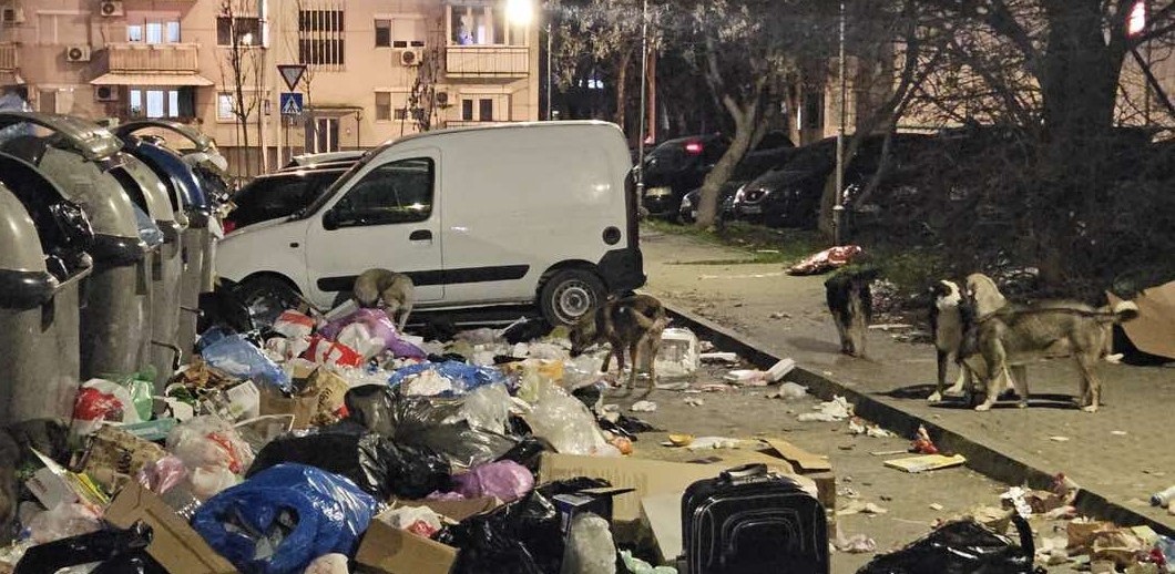 СО ДЕТЕТО В РАЦЕ БЕГАВ ОД ГЛУТНИЦА КУЧИЊА, СО  СТРАВ ИЗЛЕГУВАМЕ ОД ДОМА ОТИ НАПАЃААТ, ВЕЛИ ЖИТЕЛКА НА СКОПСКИ КАРПОШ 4