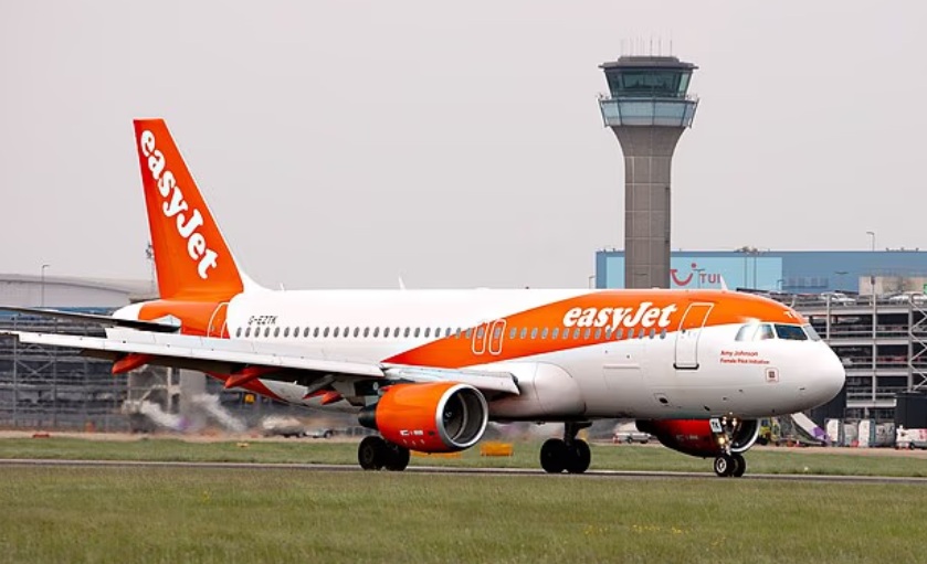 БРИТАНЦИ СИ ЈА ВНЕСЛЕ ПОЧИНАТАТА БАБА ВО АВИОН НА „ИЗИЏЕТ“ ОТКАКО РЕКЛЕ ДЕКА САМО ОДМАРА