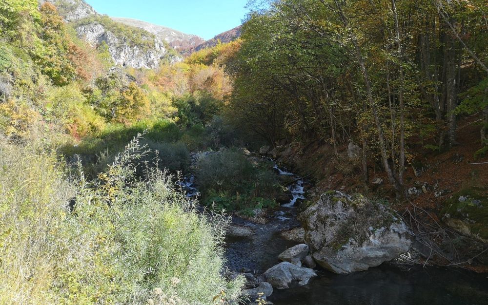 ДВЕ ГОДИНИ МАКЕДОНИЈА НЕ НАПРЕДУВА ВО ЕУ СТАНДАРДИТЕ ЗА ЖИВОТНА СРЕДИНА, ВЕЛАТ ЕКОЛОШКИТЕ ЗДРУЖЕНИЈА