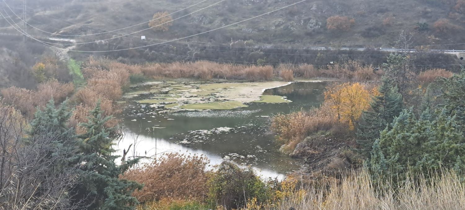 ОТОВИЧКИОТ ЗАЛИВ НА ЕЗЕРОТО МЛАДОСТ ИМА ФЕКАЛНО ЗАГАДУВАЊЕ ОД ЧОВЕЧКО ВЛИЈАНИЕ, ВЕЛИ НОВИОТ ИЗВЕШТАЈ ЗА КВАЛИТЕТОТ НА ВОДАТА ОТОВИЧКИОТ ЗАЛИВ НА ЕЗЕРОТО МЛАДОСТ ИМА ФЕКАЛНО ЗАГАДУВАЊЕ ОД ЧОВЕЧКО ВЛИЈАНИЕ, ВЕЛИ НОВИОТ ИЗВЕШТАЈ ЗА КВАЛИТЕТОТ НА ВОДАТА