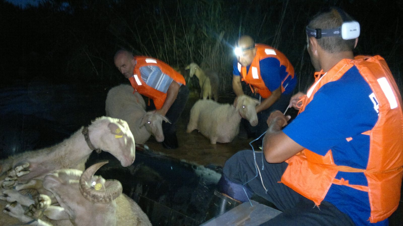 ОВЦИТЕ НИ ПЛАЧЕА НА РАЦЕ КОГА ГИ ИЗВЛЕКОВМЕ ОД ПОПЛАВАТА ВО СТАЈКОВЦИ, РЕКОА СПАСИТЕЛИТЕ ОД ВЕЛЕС НА 15-ГОДИШНИНАТА ОД ДРУШТВОТО