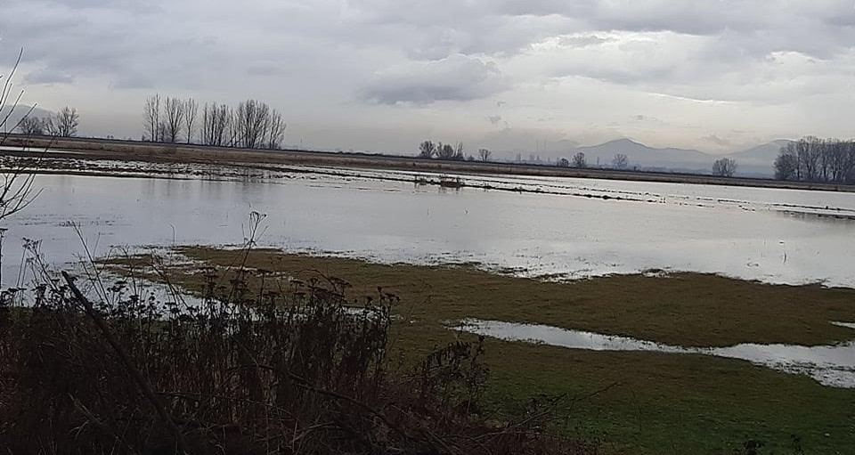 НА НИВИТЕ ИМА И ПО МЕТАР ВОДА, АКО НЕ СЕ ПОВЛЕЧЕ ЗА 2-3 ДЕНА ЌЕ ИЗГНИЈАТ ПОСЕВИТЕ ОД ЕСЕНСКАТА СЕИДБА, ВЕЛАТ ЗЕМЈОДЕЛЦИТЕ ВО БИТОЛСКО