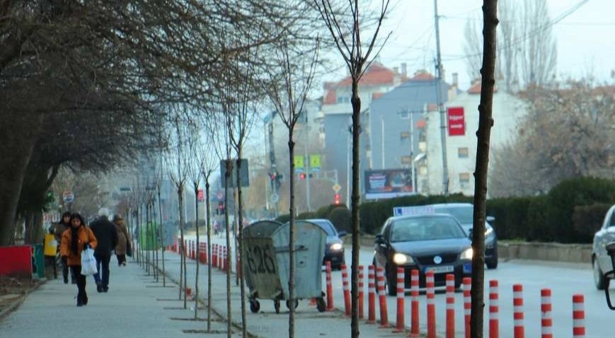 КУМАНОВО ДОБИ ДРВОРЕД ОД 220 УКРАСНИ САДНИЦИ НА БУЛЕВАРОТ ОКТОМВРИСКА РЕВОЛУЦИЈА