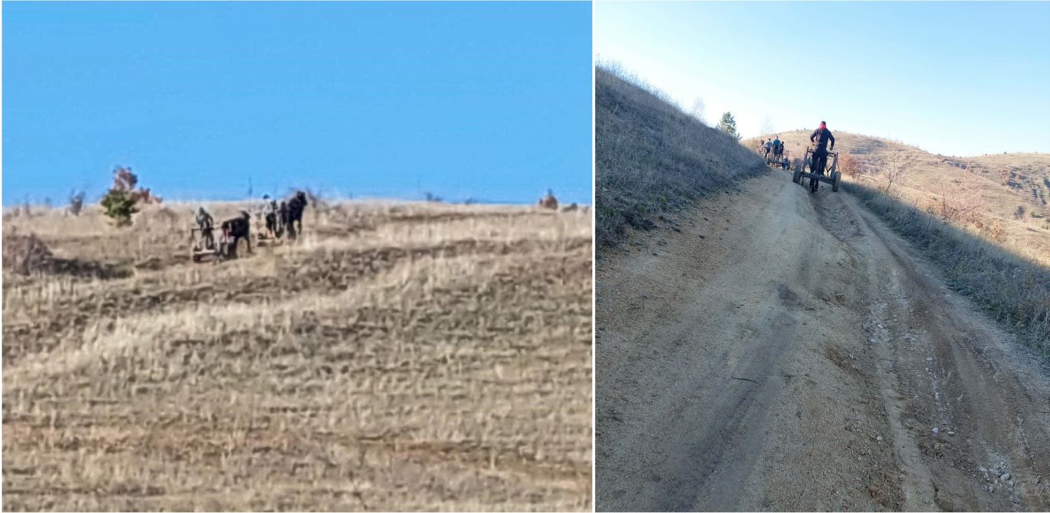 ДРВОКРАДЦИ СО МОТОРНИ ПИЛИ И ДВОКОЛКИ ГИ СОГОЛИЈА СНЕГОВСКИТЕ РИДОВИ КАЈ БИТОЛА