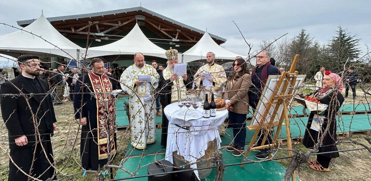 „ТИКВЕШ“ СО ЗЕЛЕНА ТЕХНОЛОГИЈА ЌЕ СЕ БОРИ ПРОТИВ КЛИМАТСКИТЕ ПРОМЕНИ