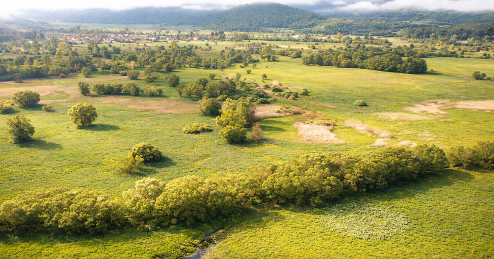 БЕЛЧИШКОТО БЛАТО КОНЕЧНО ЌЕ ДОБИЕ ЗАШТИТЕН СТАТУС – ПАРК НА ПРИРОДАТА