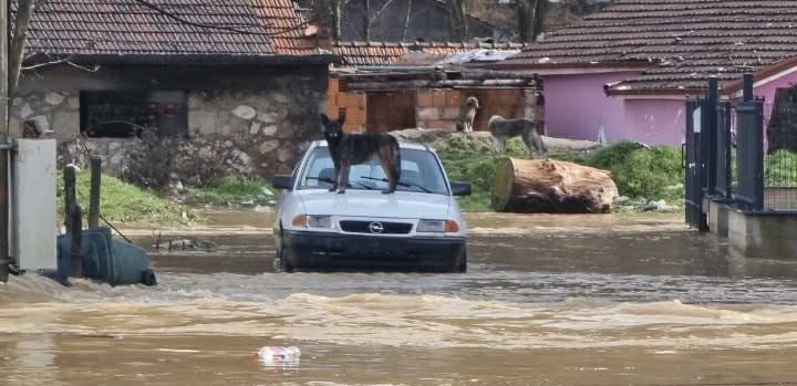 ЕВАКУИРАНИ 220 ЛИЦА ПО ПОПЛАВИТЕ ВО КИЧЕВО, СМЕСТЕНИ СЕ ВО СПОРТСКАТА САЛА