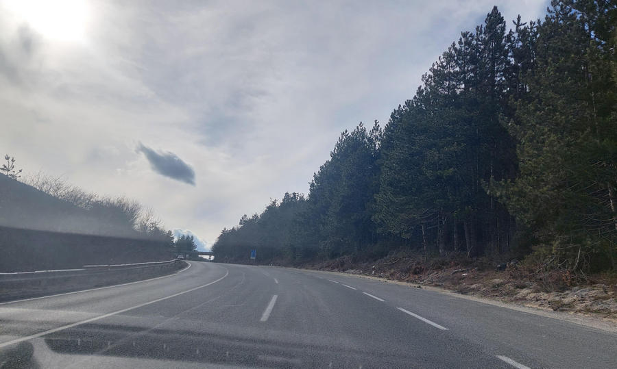 НЕОПХОДНИ СЕ ЗЕЛЕНИ МОСТОВИ ЗА ЖИВОТНИТЕ, ВЕЛИ МАКЕДОНСКОТО ЕКОЛОШКО ДРУШТВО ПО УСМРТЕНИОТ РИС НА ПАТОТ РЕСЕН-ОХРИД НЕОПХОДНИ СЕ ЗЕЛЕНИ МОСТОВИ ЗА ЖИВОТНИТЕ, ВЕЛИ МАКЕДОНСКОТО ЕКОЛОШКО ДРУШТВО ПО УСМРТЕНИОТ РИС НА ПАТОТ РЕСЕН-ОХРИД