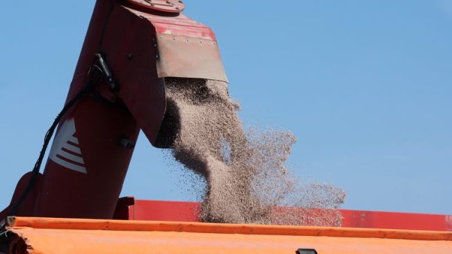 ВОЈНАТА ВО ИРАН ГИ ЗГОЛЕМИ СВЕТСКИТЕ ЦЕНИ НА ЃУБРИВАТА ЗА 40 ОТСТО, МОЖЕ ДА ПОСКАПИ И ХРАНАТА