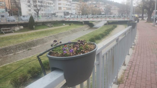 ВТОРПАТ ИСКРШЕНИ ЦВЕТНИТЕ ЖАРДИНИЕРИ НА КЕЈОТ НА ОТИЊА ВО ШТИП, „ИСАР“ ПОДНЕСЕ КРИВИЧНИ ПРИЈАВИ ПРОТИВ ГРУПА МЛАДИ