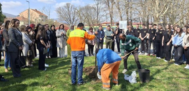 СТРУМИЧКИТЕ УЧЕНИЦИ ЗАСАДИЈА ЈАВОР ВО СПОМЕН НА 63-ТЕ ЖРТВИ ВО ПОЖАРОТ ВО КОЧАНИ