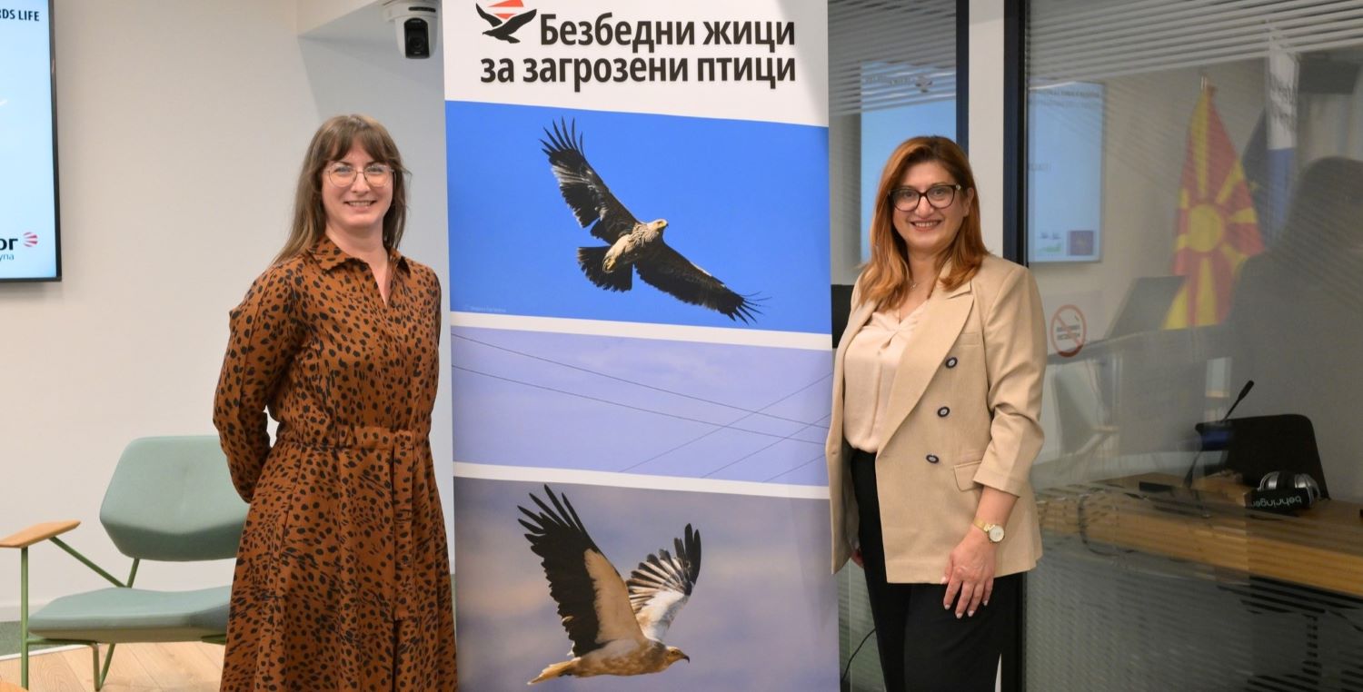 СО ИЗОЛАЦИЈА НА 3.000 ДАЛЕКУВОДИ ЌЕ СЕ ЗАШТИТУВААТ ОД СТРУЕН УДАР ЗАГРОЗЕНИТЕ ПТИЦИ ЦАРСКИ ОРЕЛ И ЕГИПЕТСКИ МРШОЈАДЕЦ