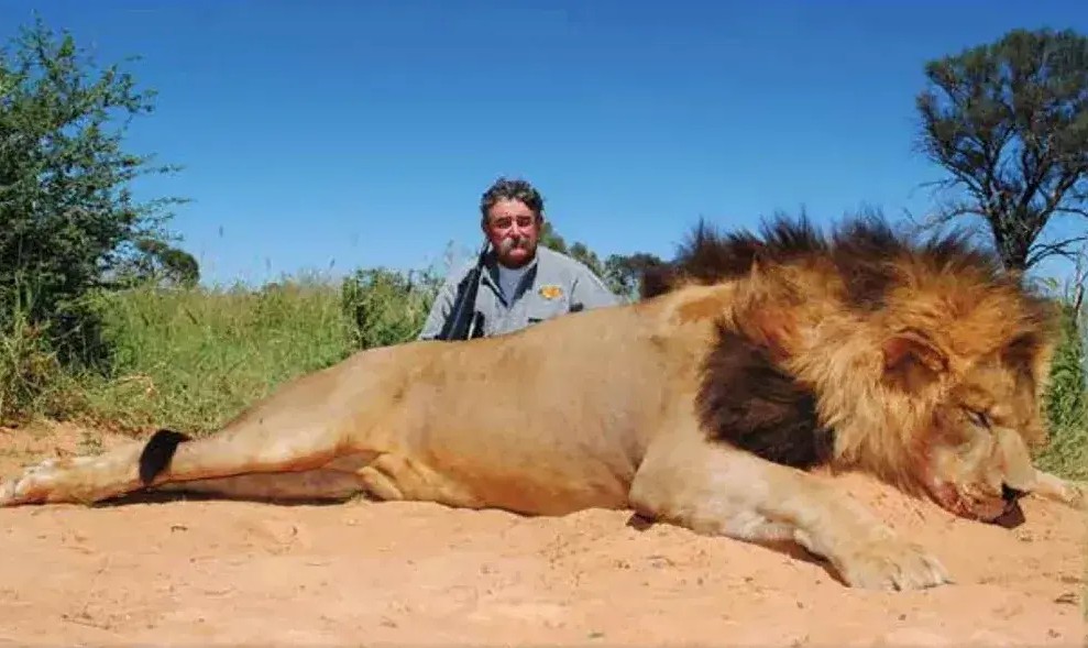 АМЕРИКАНСКИ МИЛИОНЕР ЗГМЕЧЕН ОД СЛОНОВИ ДОДЕКА БИЛ НА ЛОВ ВО ГАБОН