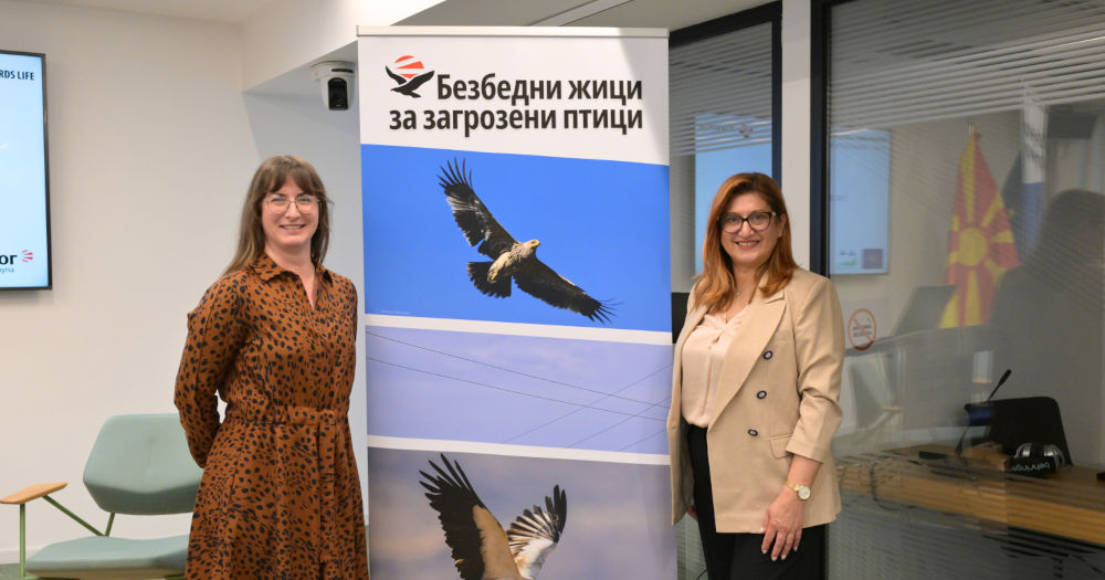 ЕВН И МАКЕДОНСКОТО ЕКОЛОШКО ДРУШТВО ЌЕ ГИ ЗАШТИТУВААТ ЦАРСКИОТ ОРЕЛ И ЕГИПЕТСКИОТ МРШОЈАДЕЦ ОД СТРУЕН УДАР