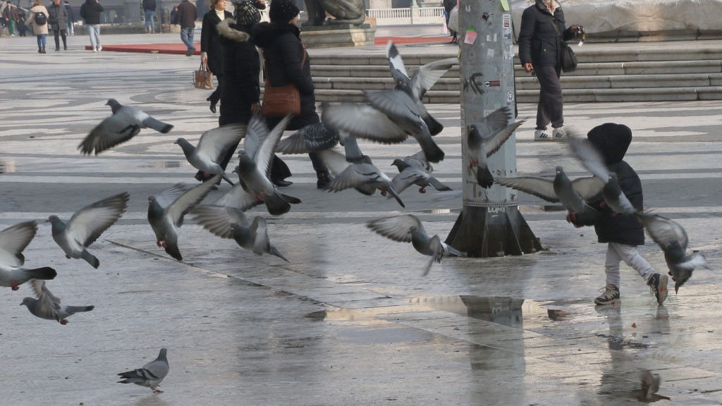 ЗА 6 ГОДИНИ ПРИЈАВЕНИ 604 СЛУЧАИ НА СЕКСУАЛНА ЗЛОУПОТРЕБА НА ДЕЦА, НАЈМАЛОТО ИМА 3 ГОДИНИ