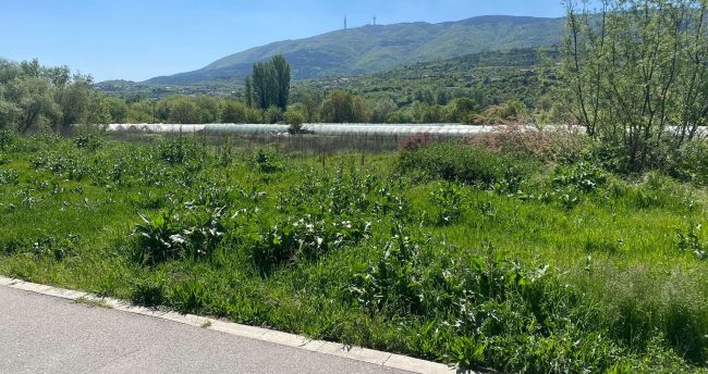 НА МЕСТОТО НА ПЛАСТЕНИЦИТЕ ПОКРАЈ ВАРДАР ОД ЃОРЧЕ ПЕТРОВ КОН ХРОМ ЌЕ СЕ ПРАВИ ПАРК, ЌЕ ЧИНИ 700.000 ЕВРА