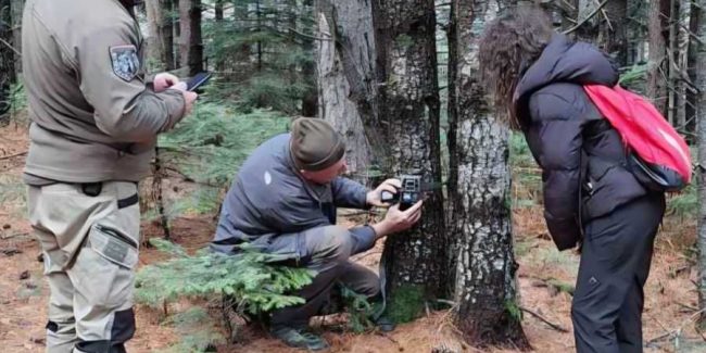 НАЦИОНАЛНИОТ ПАРК „ПЕЛИСТЕР“ ПОСТАВИ УШТЕ 40 КАМЕРИ НА 40 ЛОКАЦИИ ЗА МОНИТОРИНГ НА ПРИРОДАТА