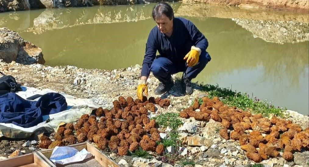 ОСТАНАА САМО ДВАЈЦА ПИРОТЕХНИЧАРИ ВО ЗЕМЈАВА, А ВО БИТОЛА ПОВТОРНО НАЈДЕНИ НАД 1.000 ГРАНАТИ ОД ПРВАТА СВЕТСКА ВОЈНА