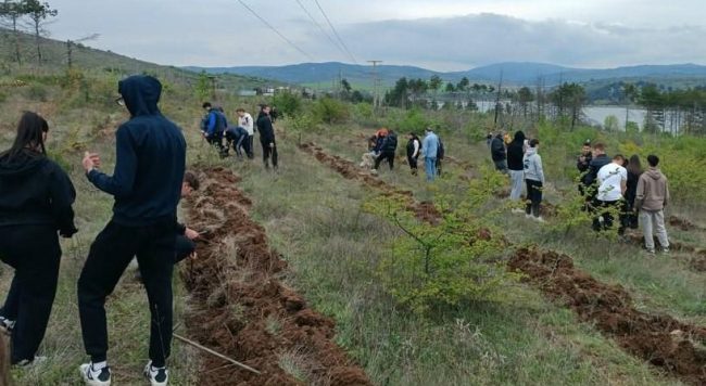 ЗА 100 ГОДИНИ ПРИРОДОНАУЧЕН МУЗЕЈ НА МАКЕДОНИЈА ЗАСАДЕНИ СТО ДРВЈА ОКОЛУ ЕЗЕРОТО МЛАДОСТ